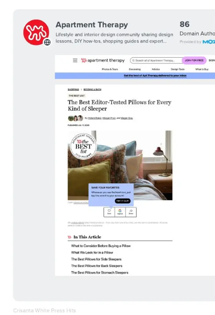 Apartment Therapy pillow guide featuring Pillow Cube